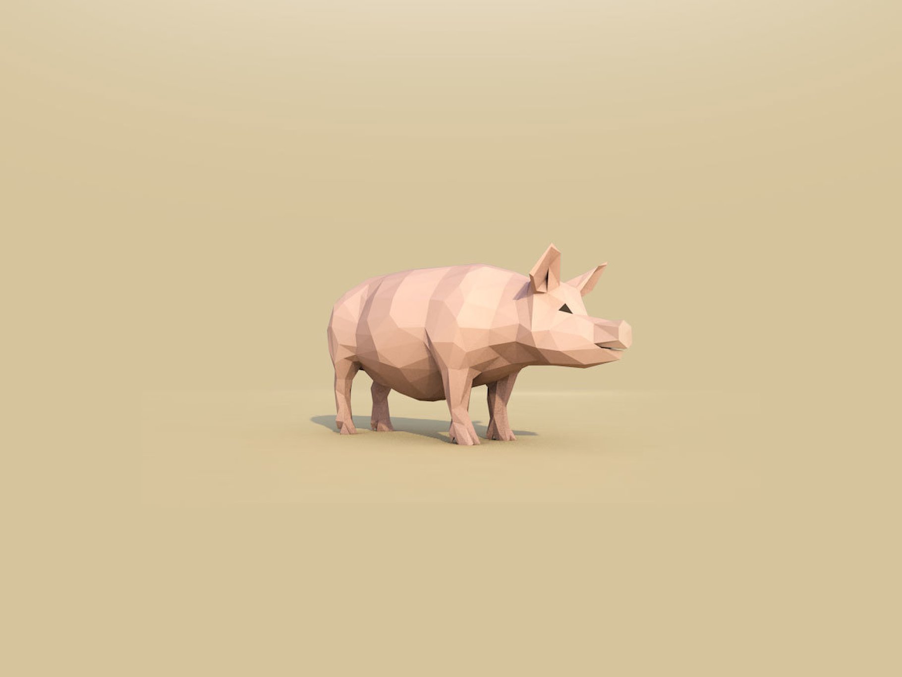 Color mockup of a pig on a beige background,
