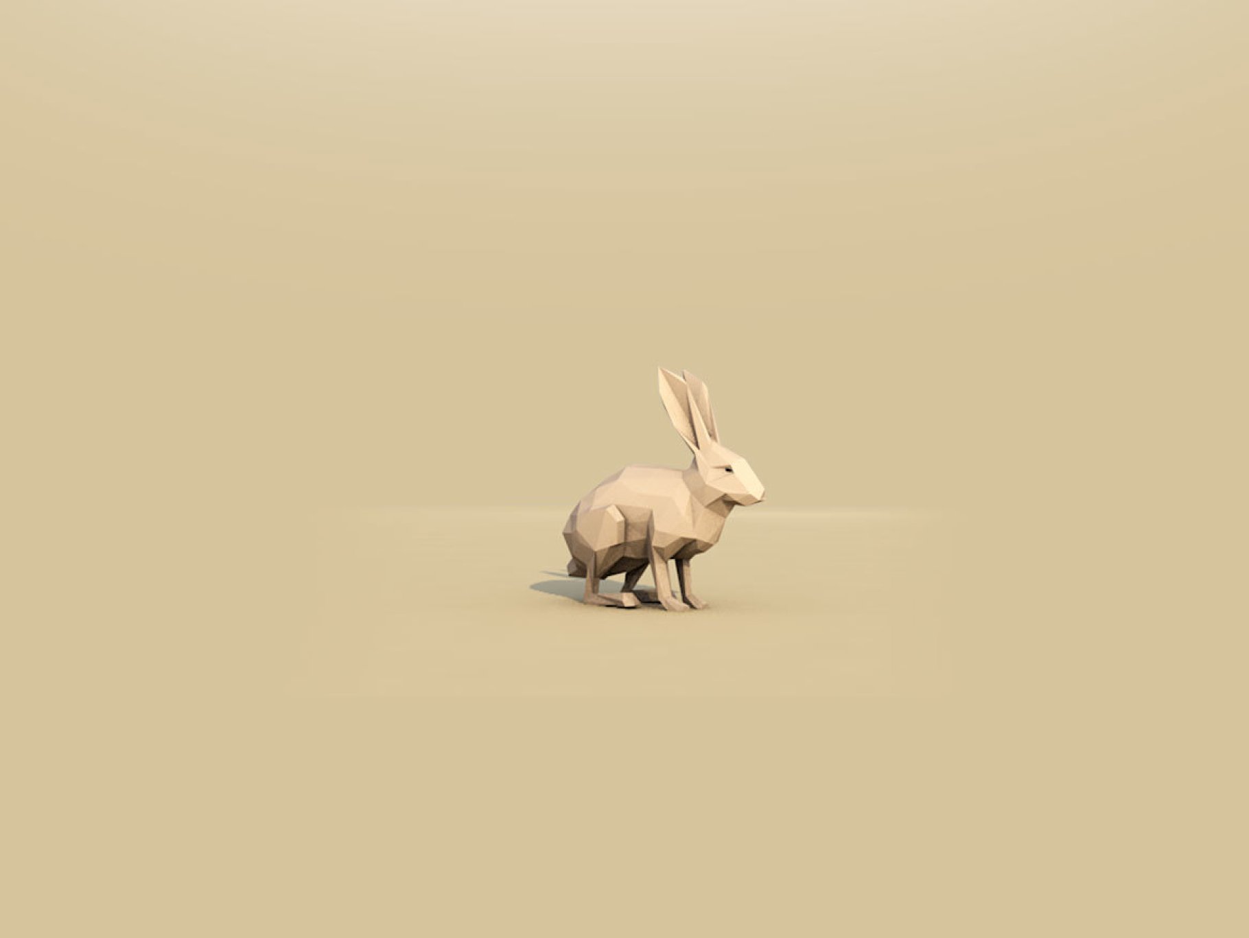 Rabbit front mockup on a beige background.