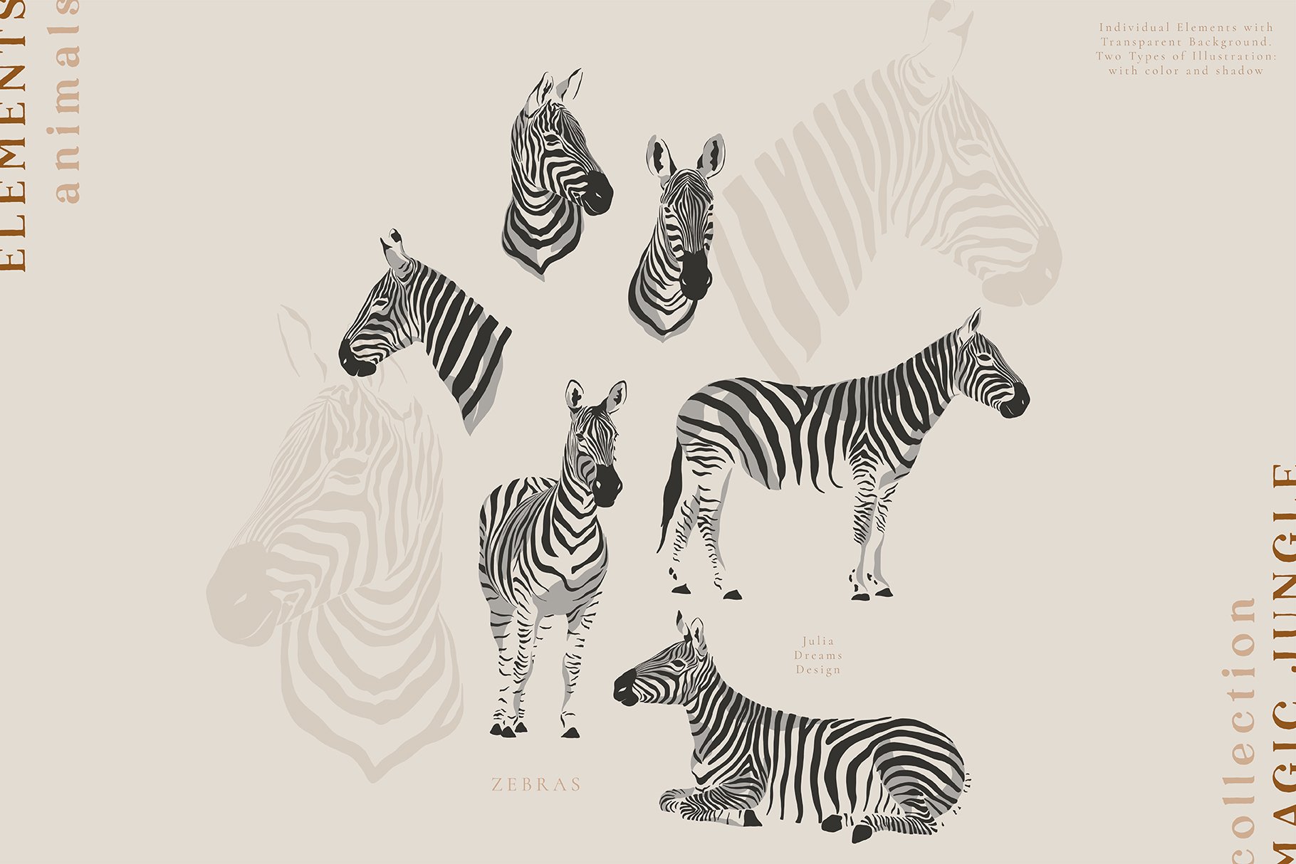 Zebra in different conditions.
