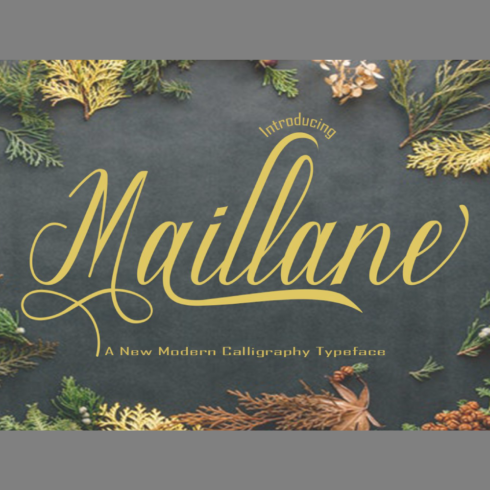 Maillane font main image preview.