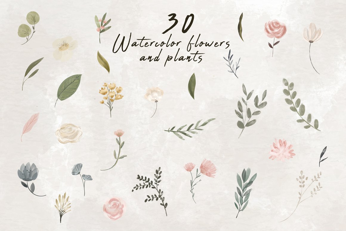 A set of 30 watercolor illustrations of flowers and plants.