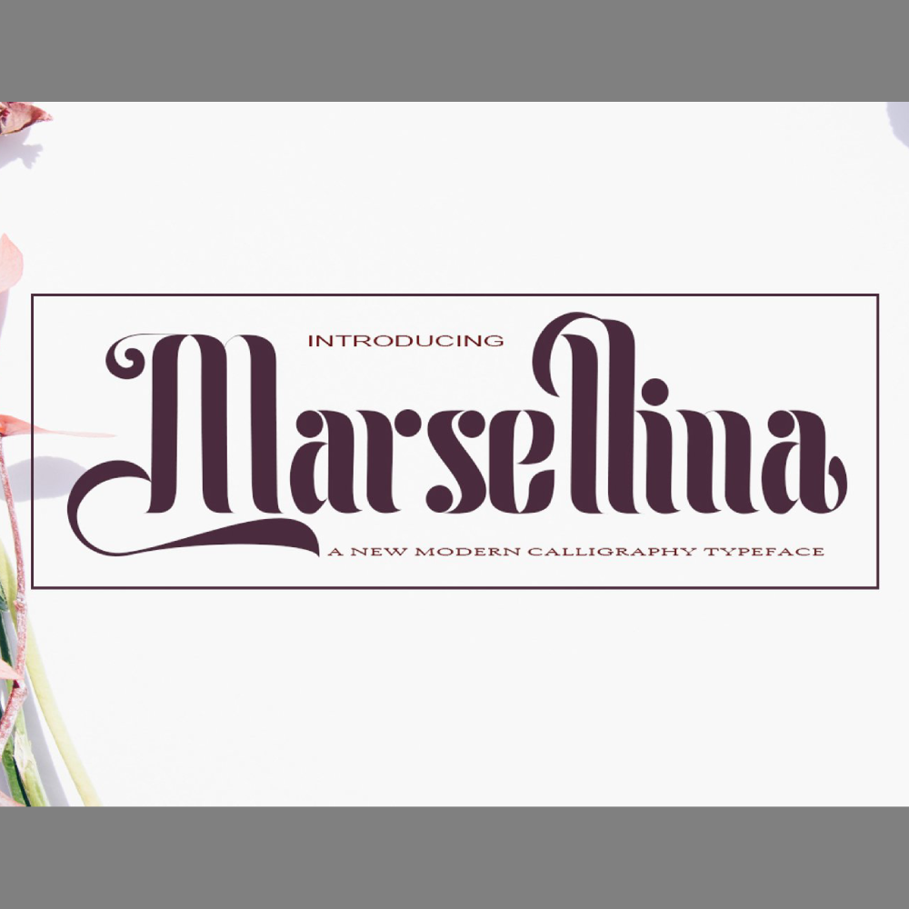 Marsellina font main image preview.