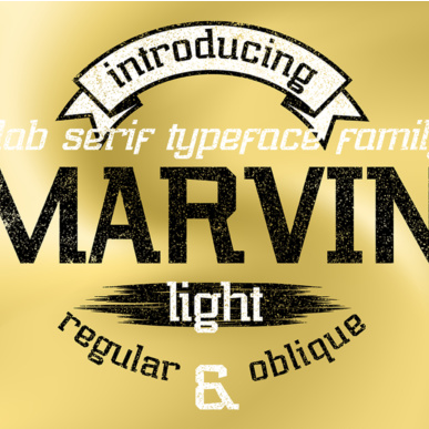 Marvin light font main image preview.
