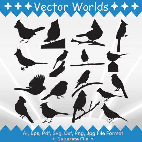 A selection of amazing vector images of birds.