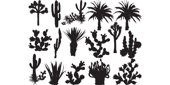 Pack of adorable cactus tree silhouette vector images.