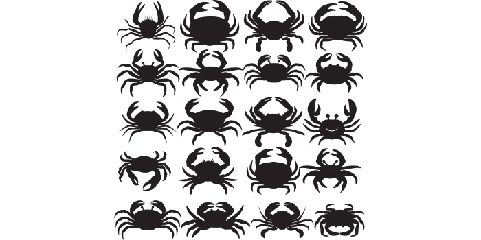 Group of black and white crabs on a white background.