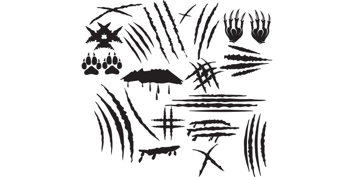 Black and white drawing of different types of animal tracks.