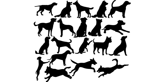 Large group of dogs silhouettes on a white background.