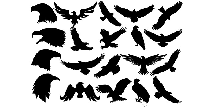 Set of silhouettes of birds flying.