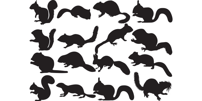 Collection of silhouettes of different animals.