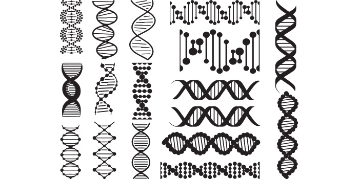 A set of unique images of DNA silhouettes