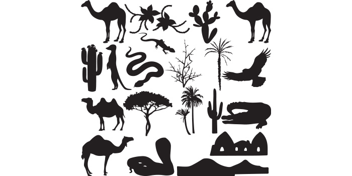 The silhouettes of different animals and plants.