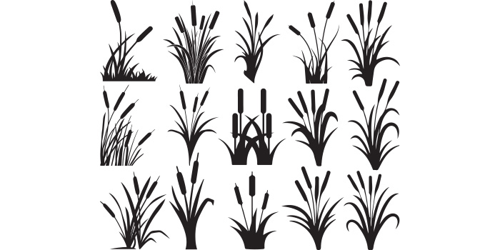 Set of adorable vector image cattail.