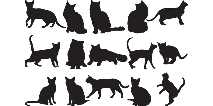 Group of cats silhouettes on a white background.