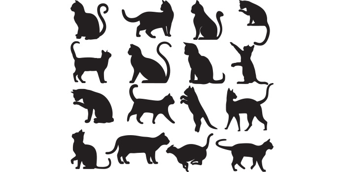 Set of cats silhouettes on a white background.