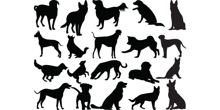 Collection of dogs silhouettes on a white background.