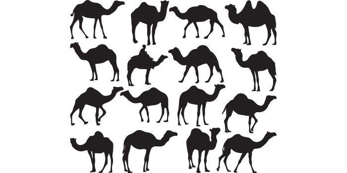Group of black and white silhouettes of camels.