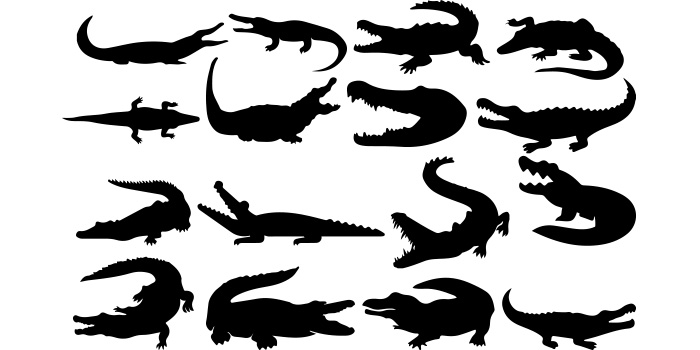 Set of silhouettes of alligators.