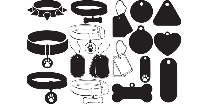 Collection of dog tags and collars.