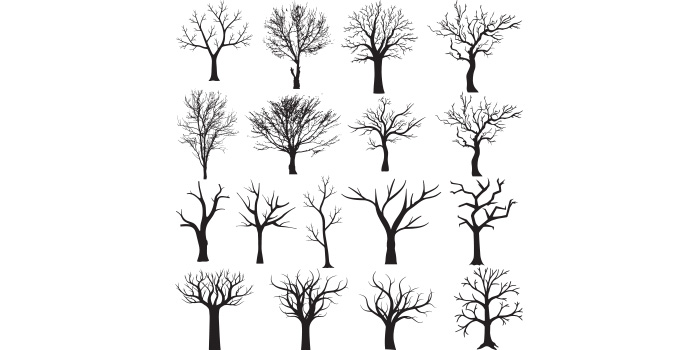 Set of beautiful images of dry tree silhouettes