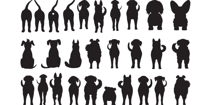 Group of silhouettes of dogs and cats.