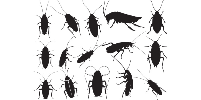 Group of bugs and other insect silhouettes.