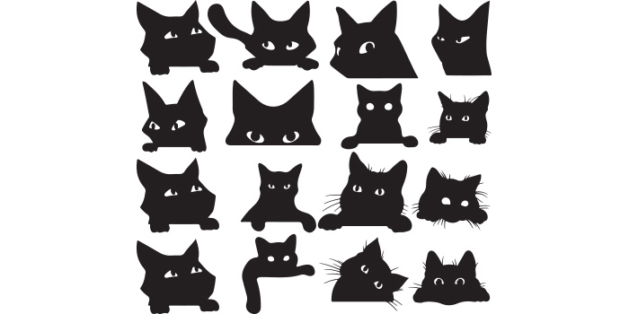 Bunch of black cats with different eyes.