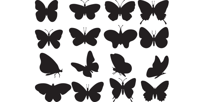 Collection of black butterflies on a white background.