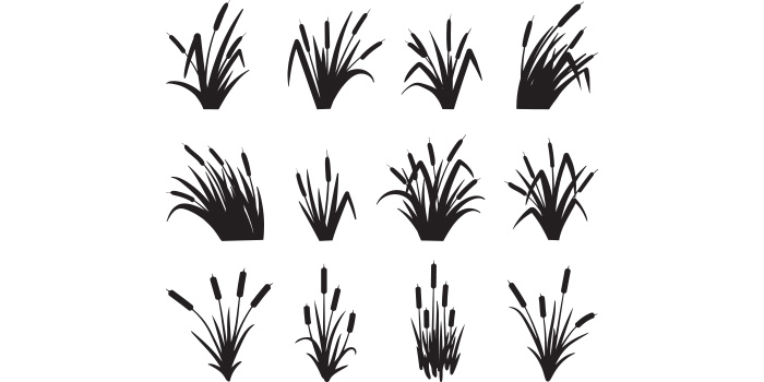 A selection of amazing vector images of cattail.