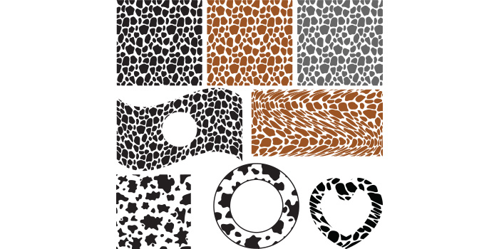 A set of amazing vector images of cow colors