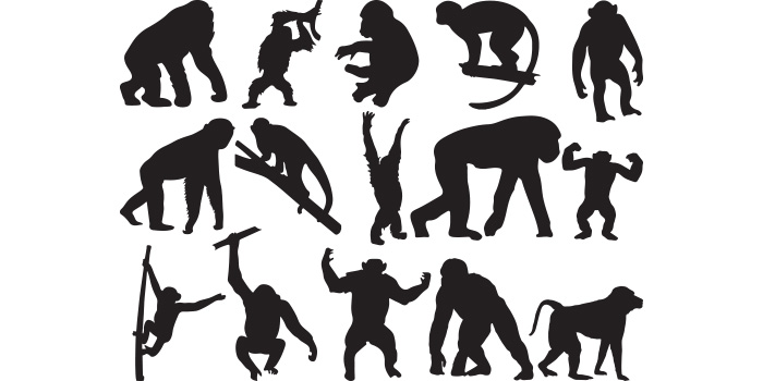 Collection of silhouettes of people doing different things.