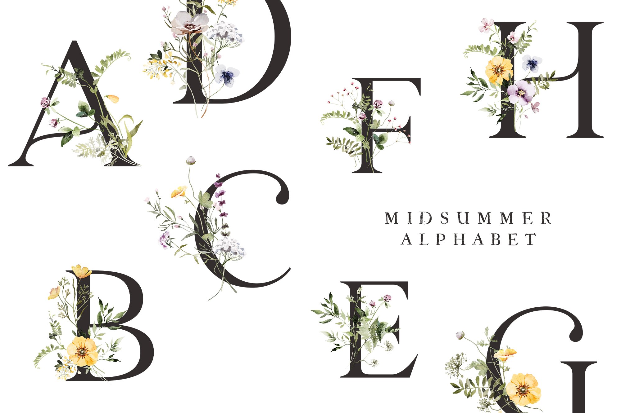 Midsummer flowers alphabet.