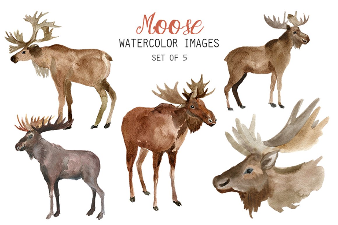 Watercolor pastel moose set.