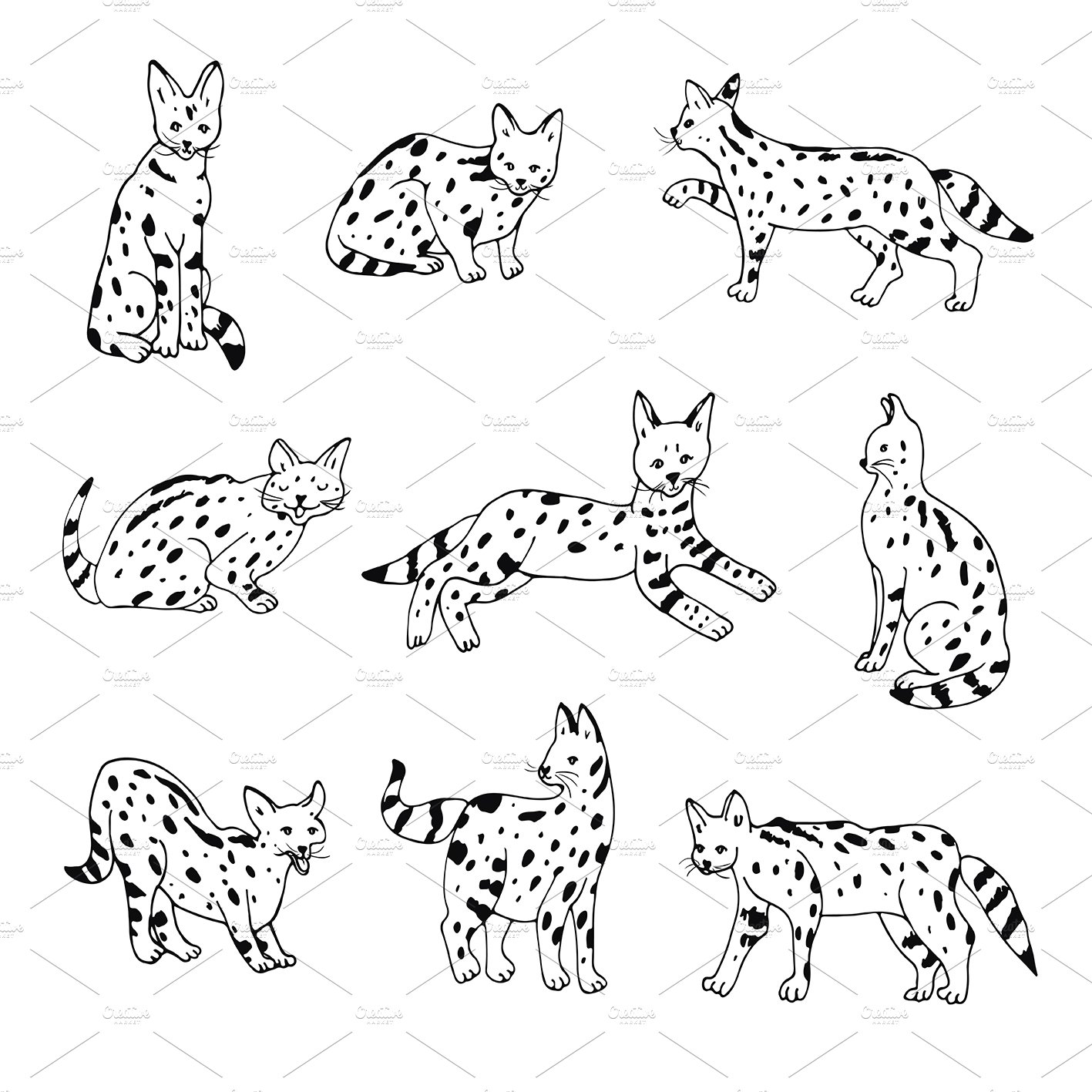White background with cute black serval collection.