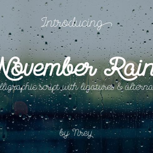 November rain main image preview.