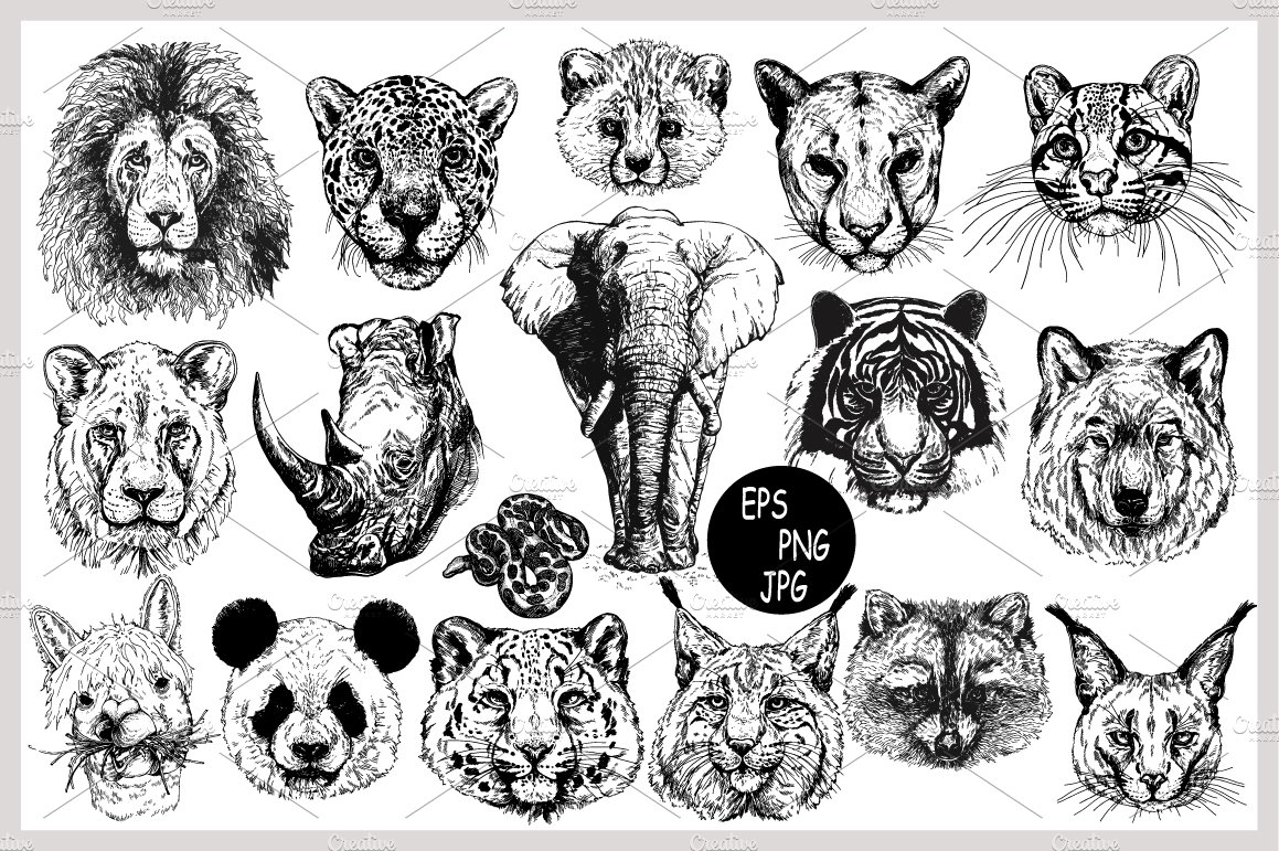 A set of graphic illustrations of animal faces on a white background.