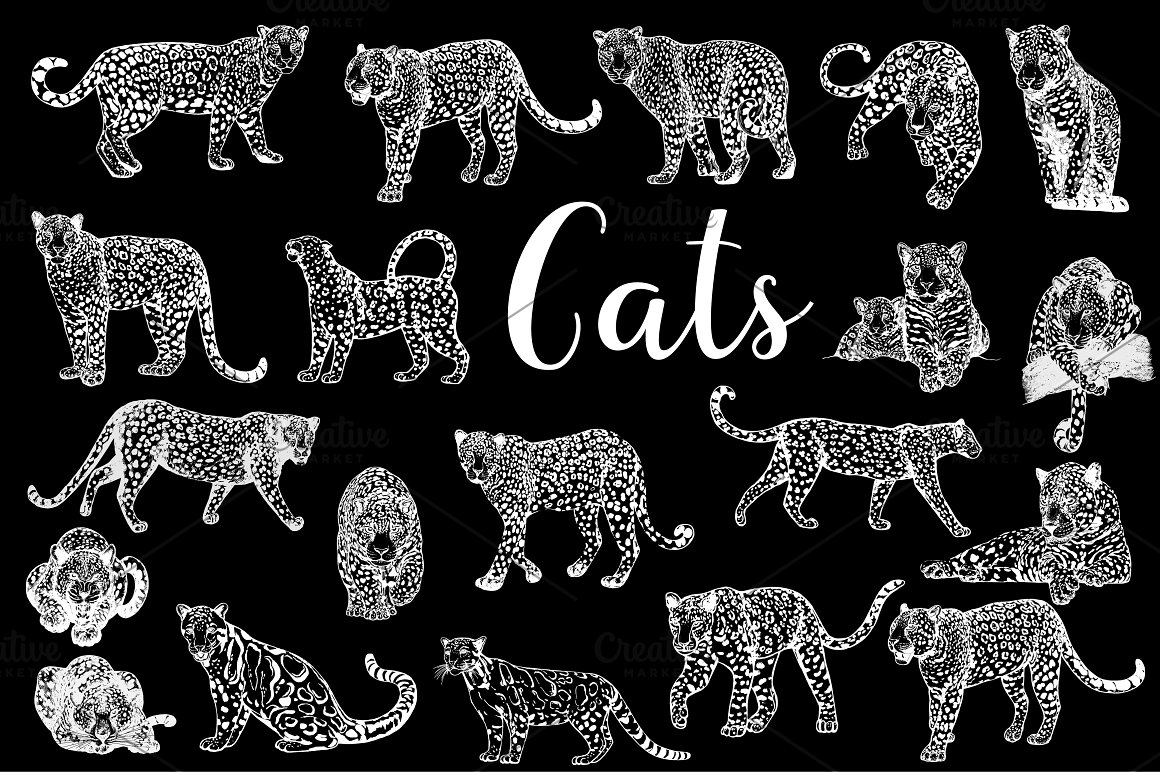 White lettering "Cats" and different white illustrations of a leopard on a black background,