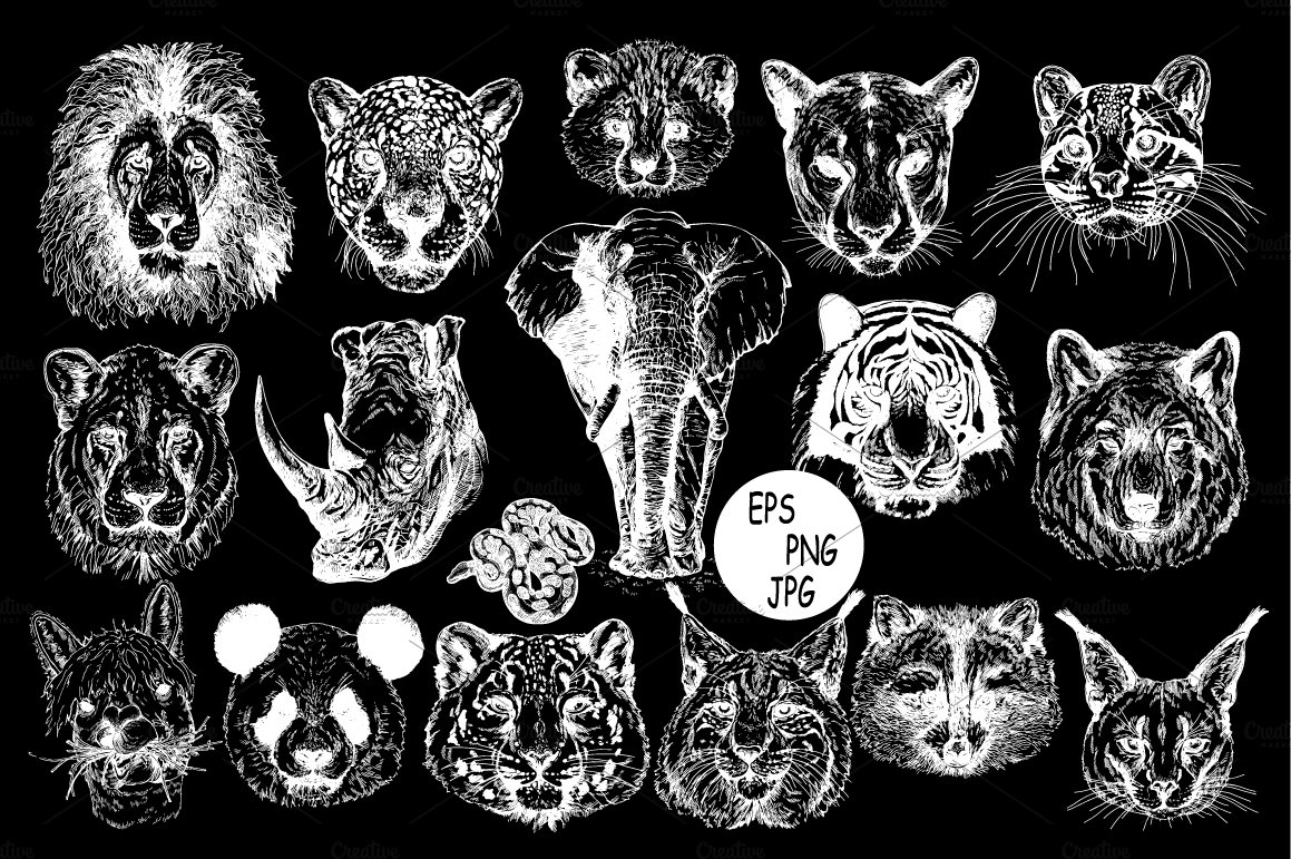 White illustrations of animal faces on a black background.