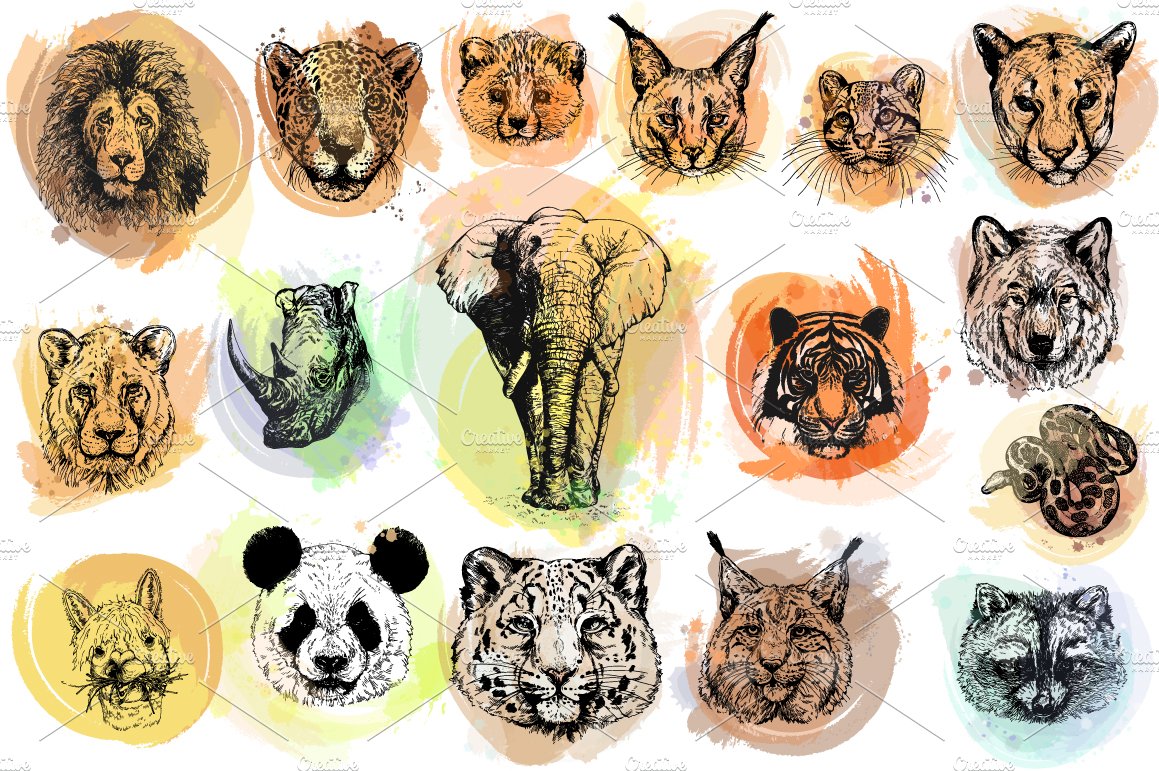 Colorful set of animal faces on a white background.