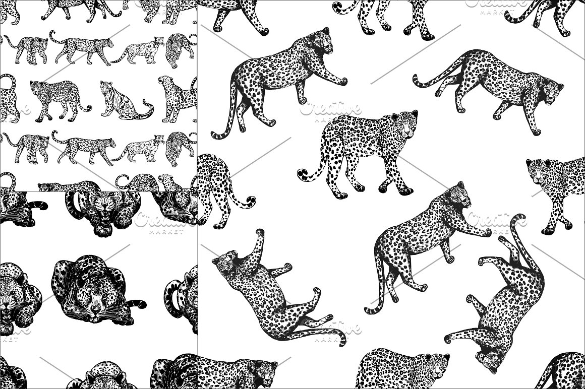 Collection of 3 different patterns with leopards in black and white.