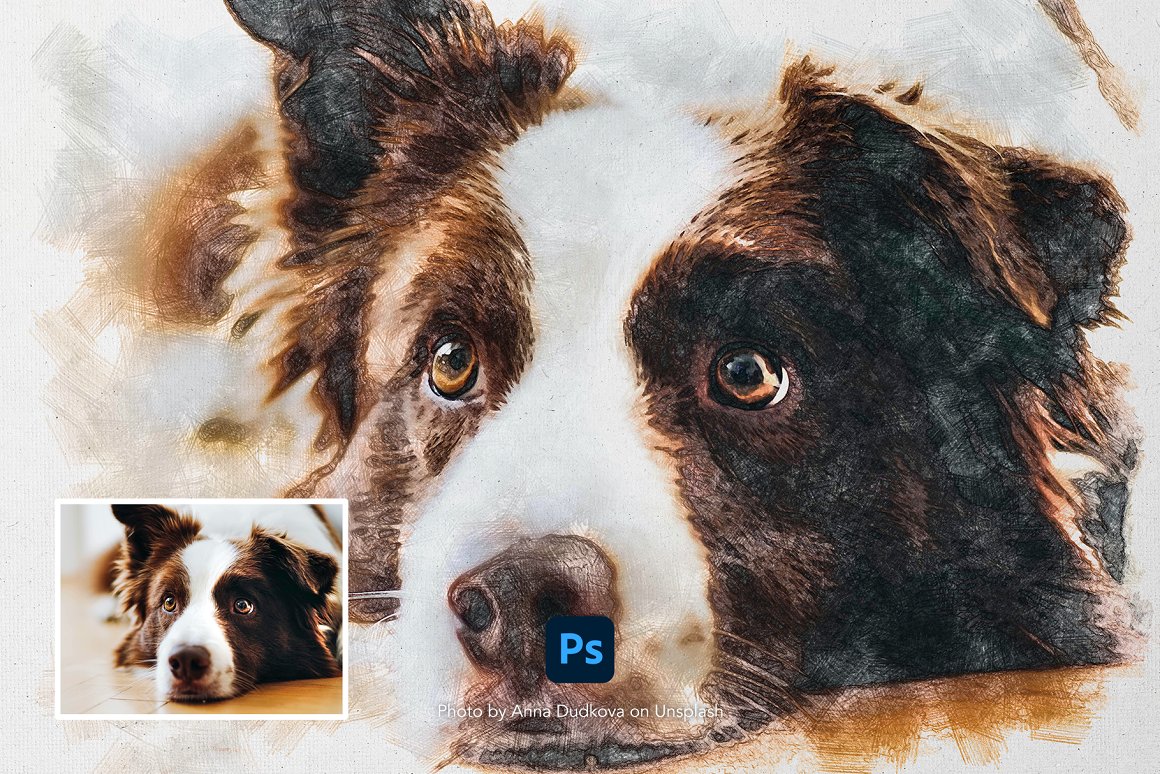 Gorgeous dog image with sketch effect.