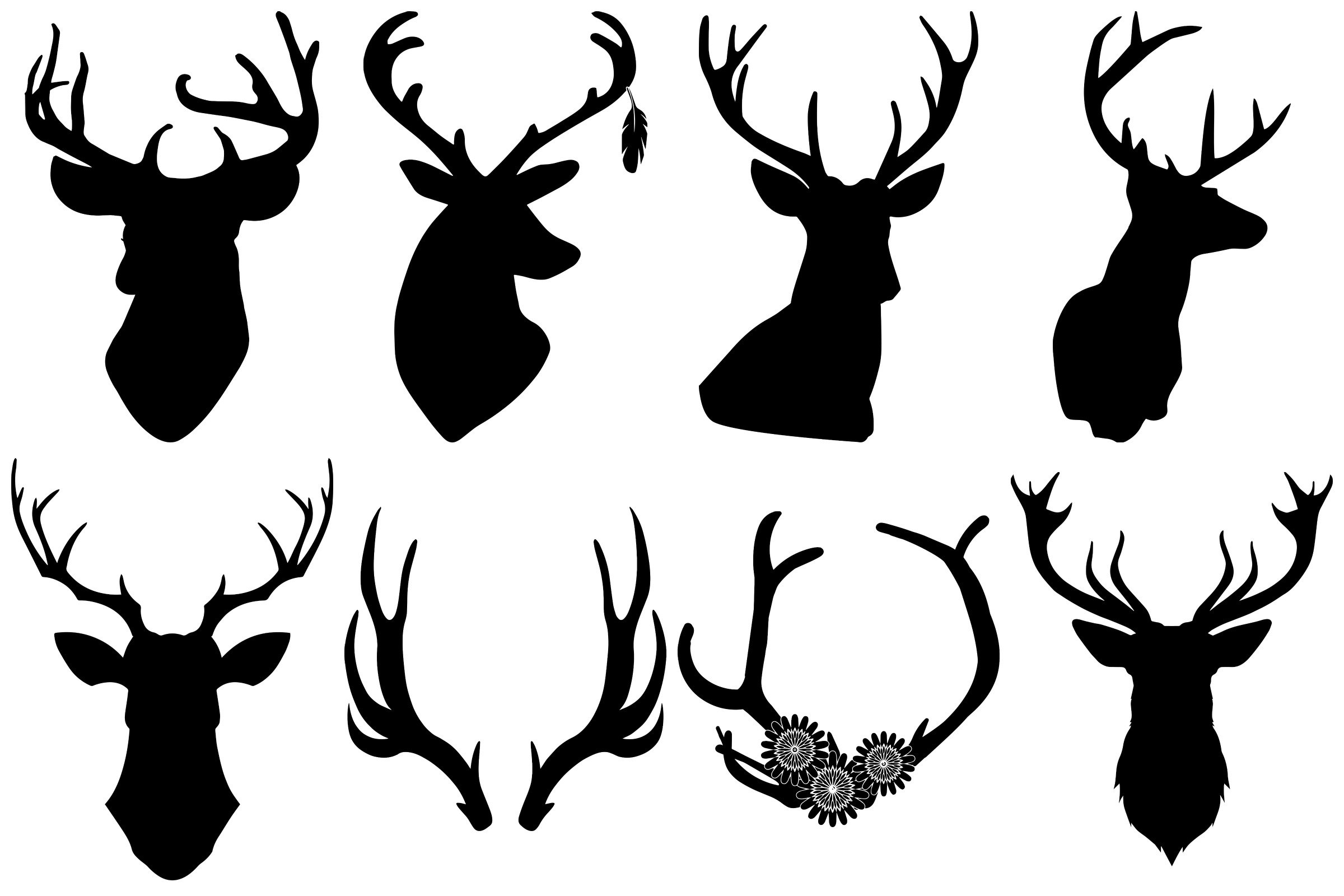Diverse of black deer and moose antlers.