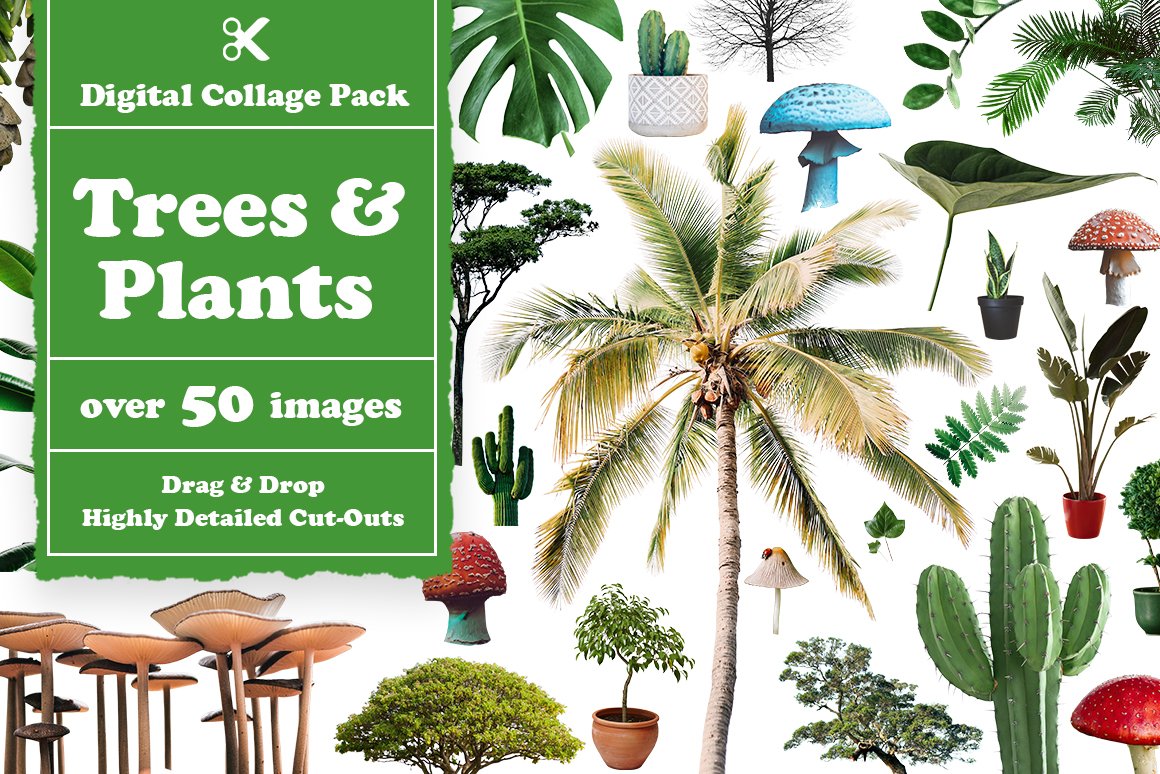 Kit of various illustrations of trees and plants on a white background.