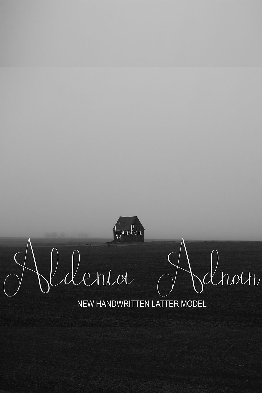 Aldenia Adnan Script Signature Font Pinterest image.