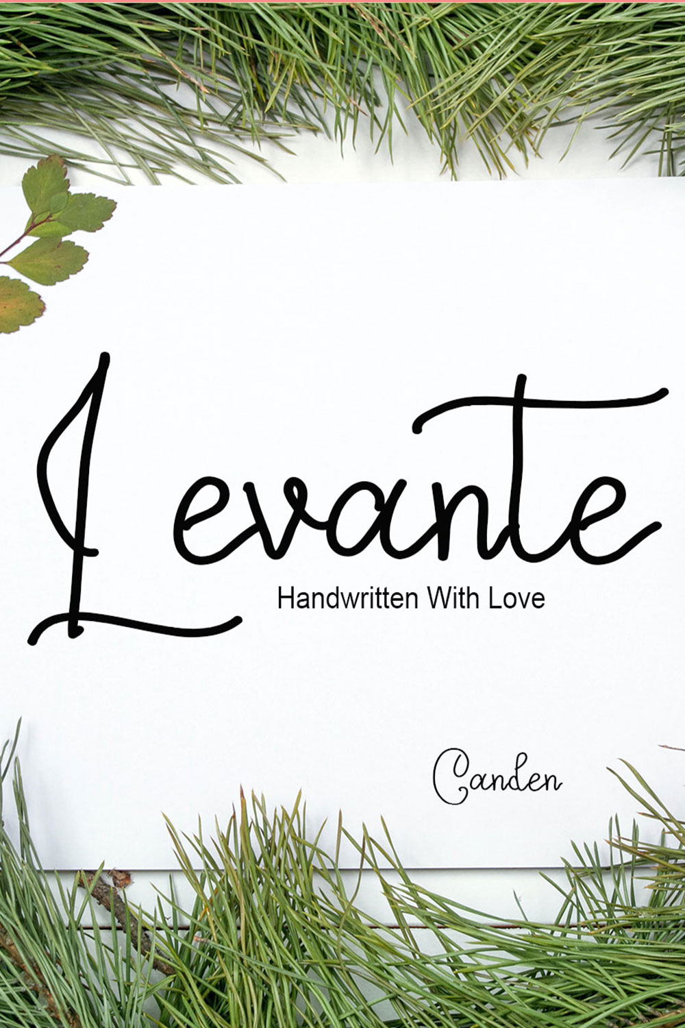 Levante Script Signature Font Pinterest image.