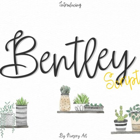 Bentley | Script.