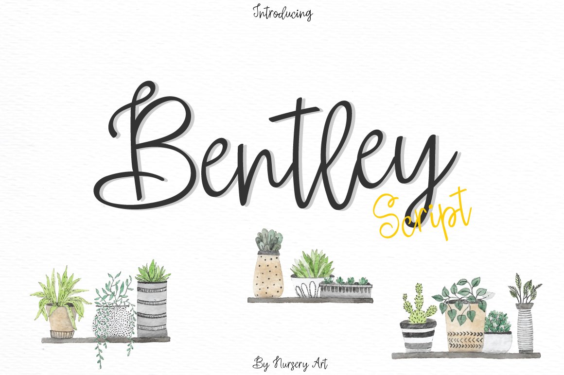 Bentley | Script.