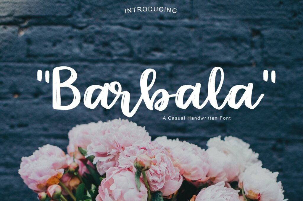 Barbala Handwritten Font – MasterBundles