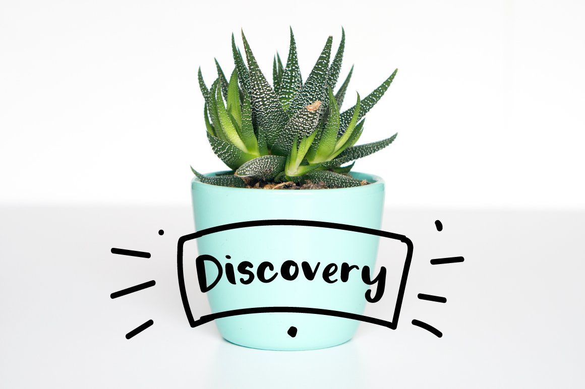 Black calligraphy lettering "Discovery" on the background of cactus in pot.