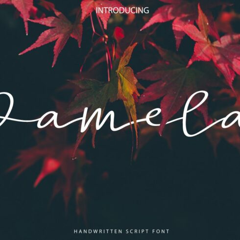 White calligraphy lettering "Pamela" on the background with leaves.